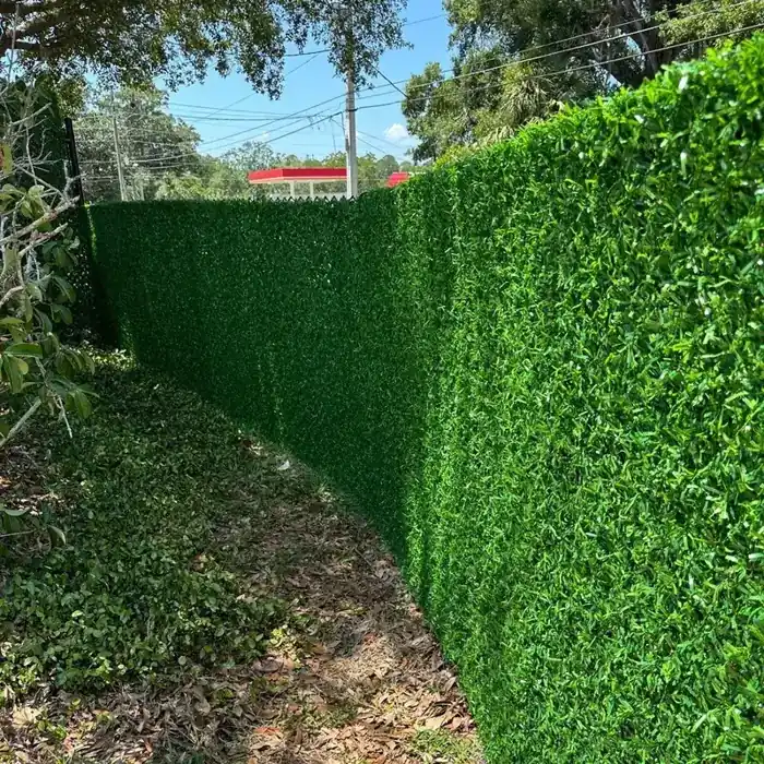 Repair a fence or add a privacy hedge screen