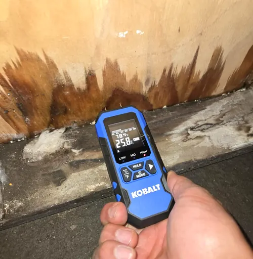 Moisture meter