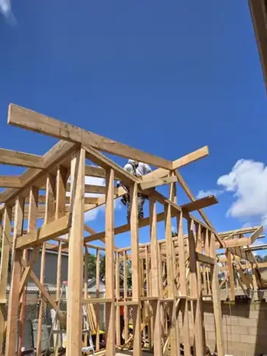Backyard structure framing