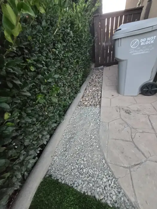 Privacy hedge and rock