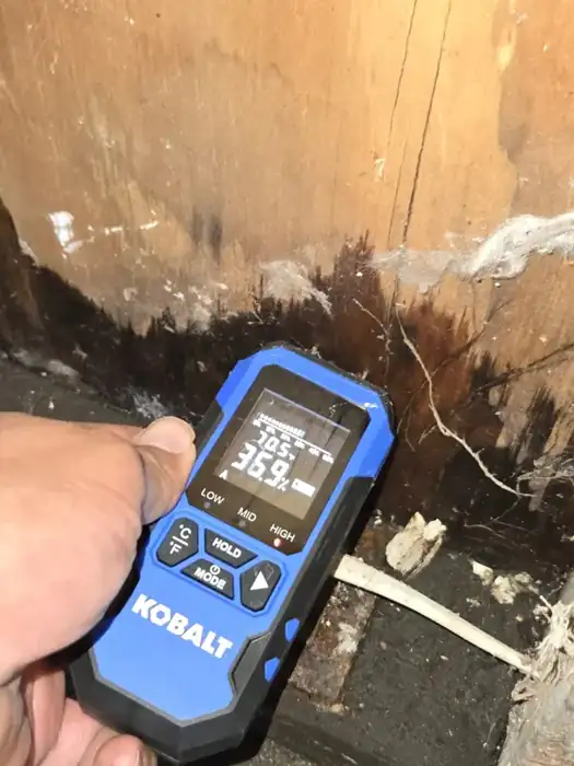 Moisture meter reading