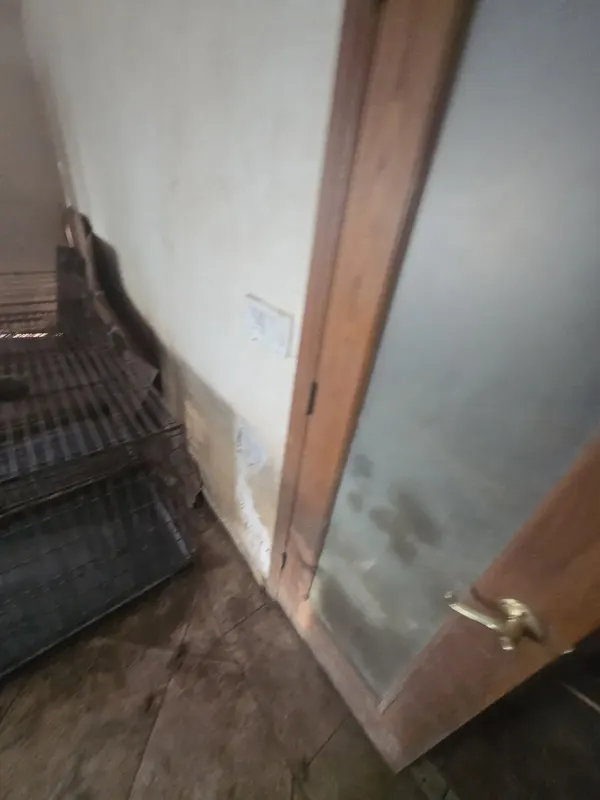 Mold check and cleanup