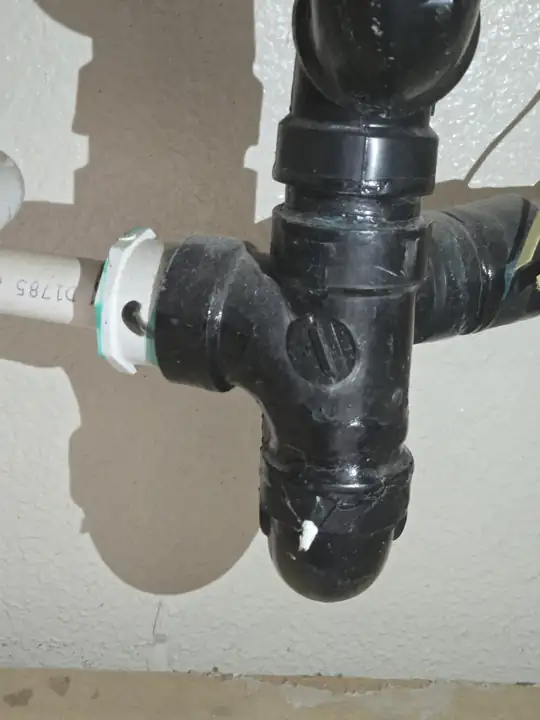 New drain and trap