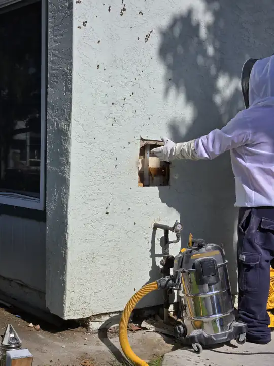 Opening the wall to reach the comb