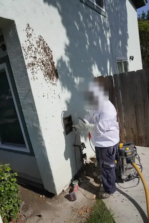 Removal in progress, wall cavity open