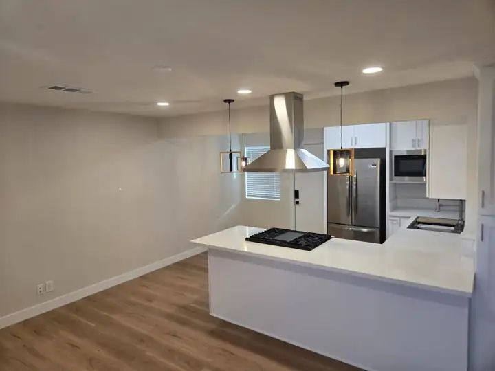 Remodel: island and hood