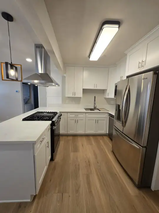 Remodel: quartz and stainless