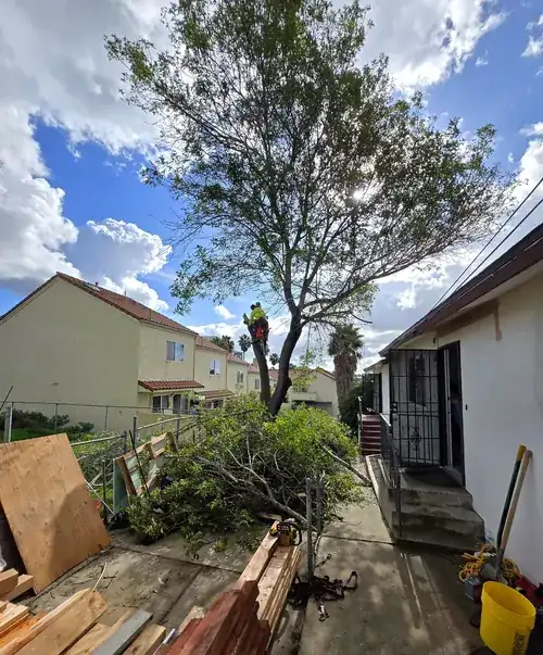 Defensible space